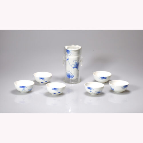Super White Fine Porcelain with Blue Decal Art Gongfu Travelling Tea Set